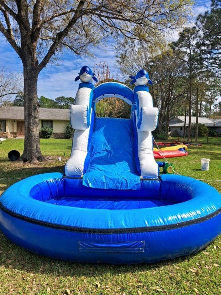 Dolphin Jr.